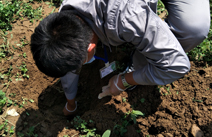 土壤檢測